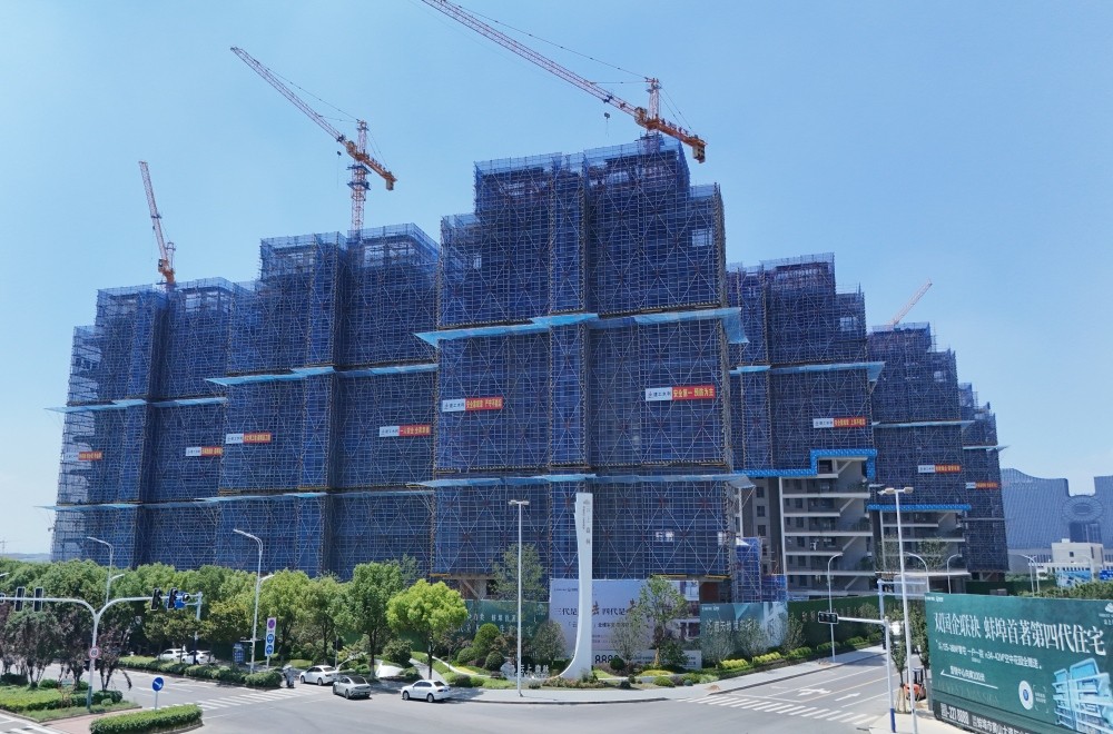 云上森林项目1(1).jpg