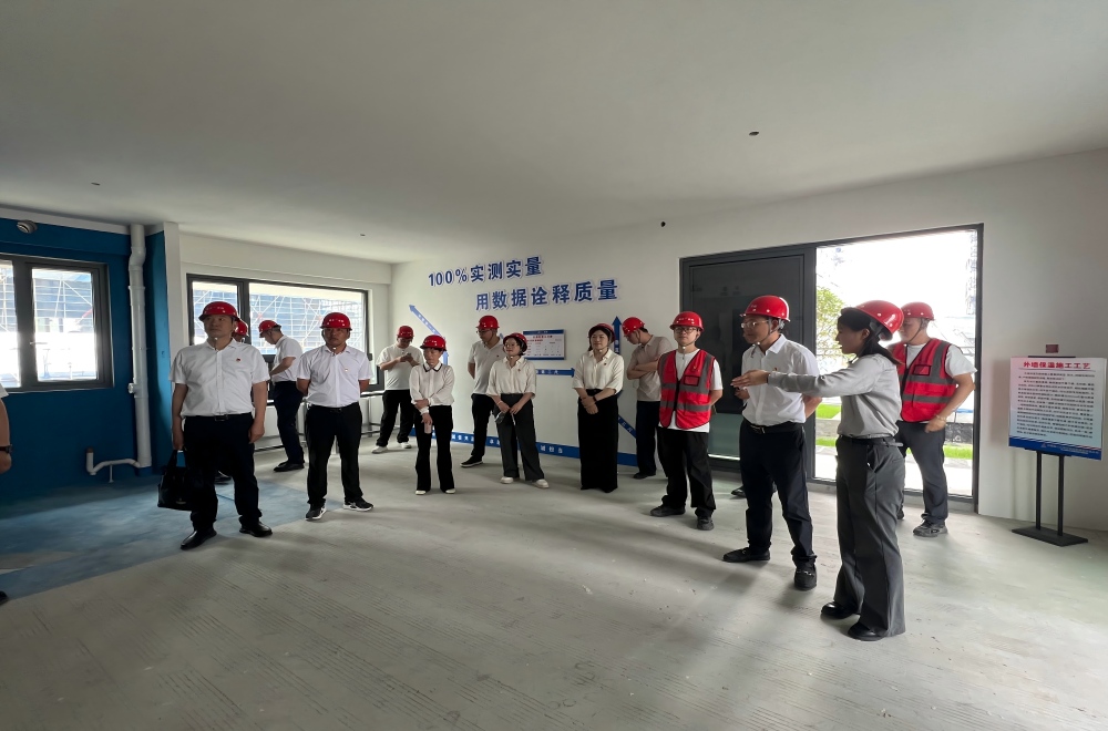 云上森林项目3(1).jpg
